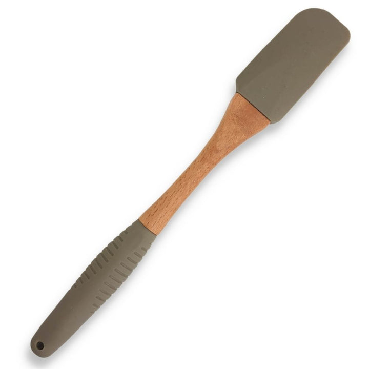 Spatola tortora